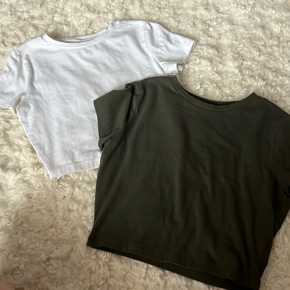 Green and White wild fable crop tops